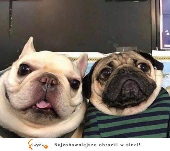 Gdy z kumplem robicie selfie na szybko...