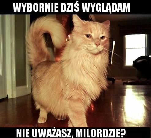 Wybornie wyglądam