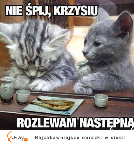 Nie śpij, Krzysiu!