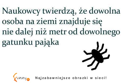 Więc to udowodnione naukowo, że któryś się na Ciebie patrzy