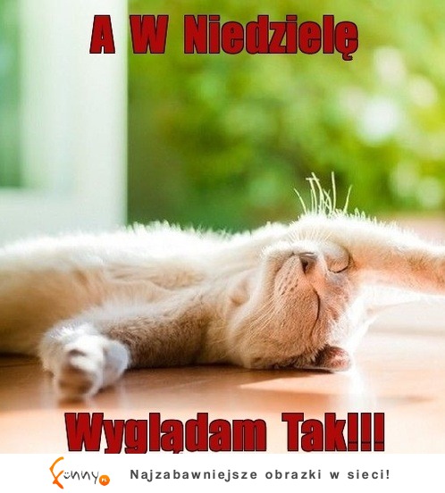 A w Niedzielę