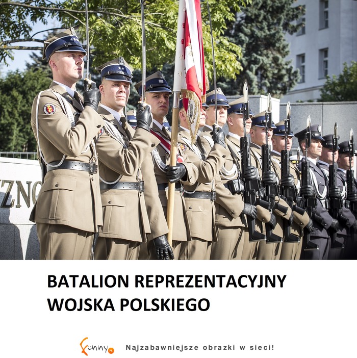 "Miłość to rodzaj służby wojskowej" - Owidiusz