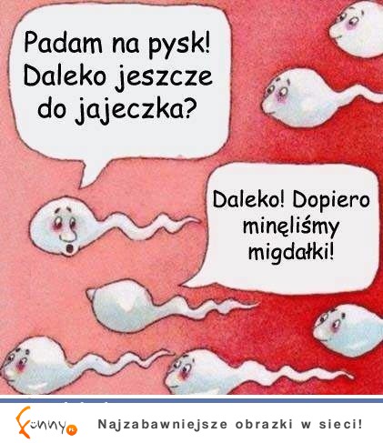 Padam na pysk