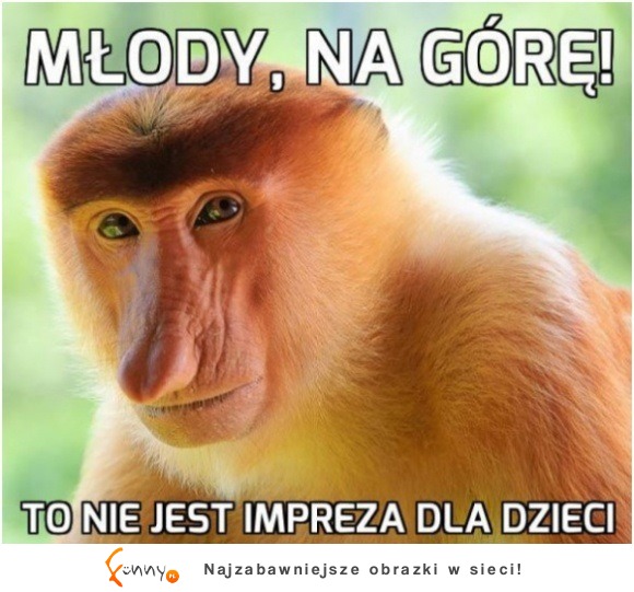 młody na górę