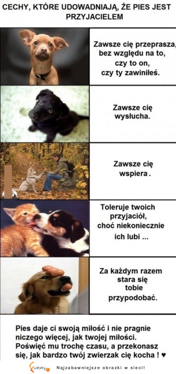 Kolejne dowody na to, że pies jest lepszy od kota :D