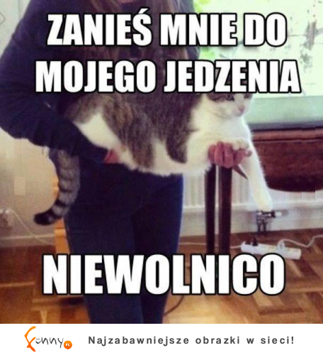 Zanieś mnie do mojego jedzenia