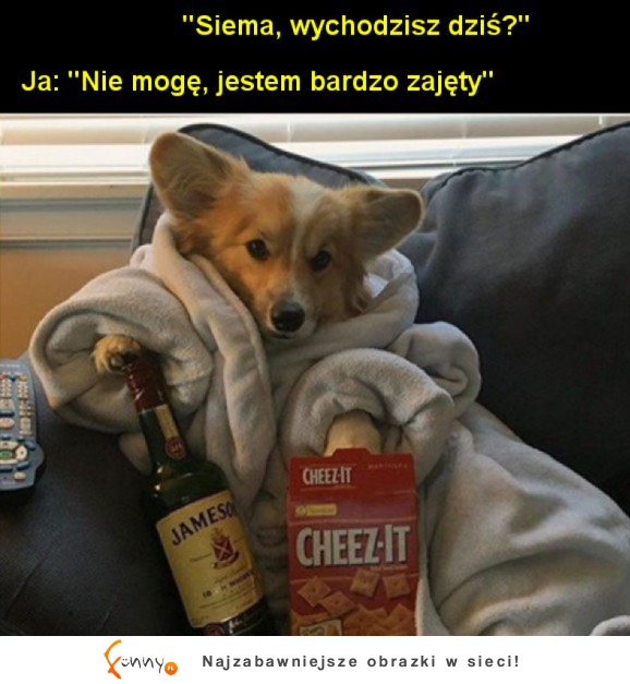 Nie wychodzę