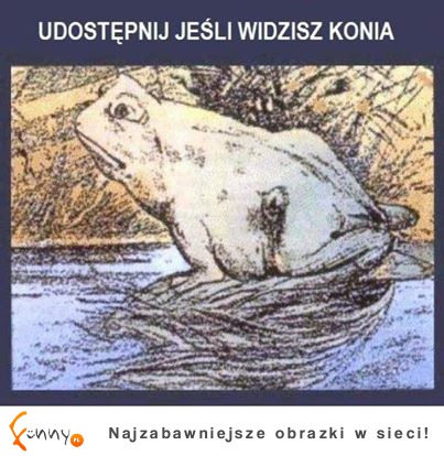 Ja widzę!