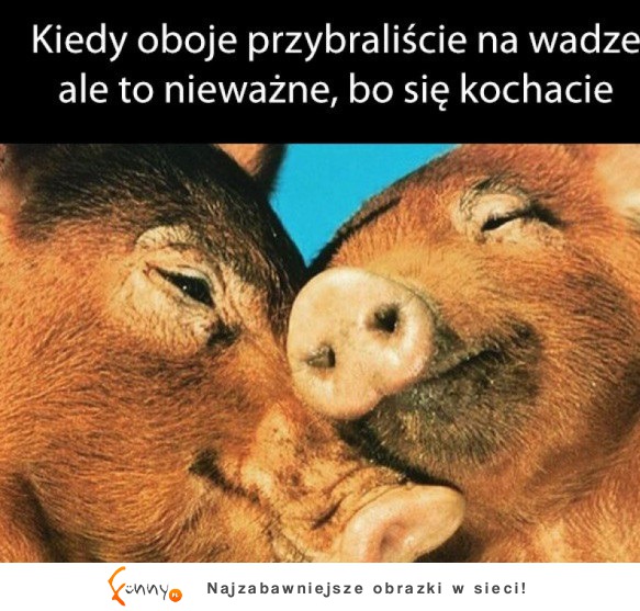 Słodziaki