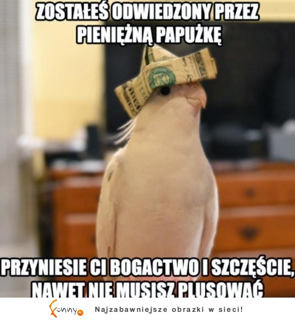 pieniężna papużka!