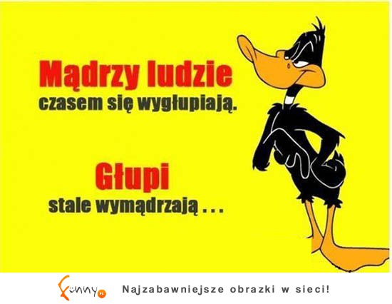 Różnica między MĄDRYM A GŁUPIM. Zgadzasz się? ;)