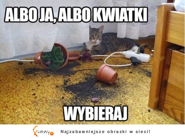 Albo ja, albo kwiatki! :>