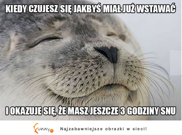 Kiedy czujesz się jakbyś miał już wstawać