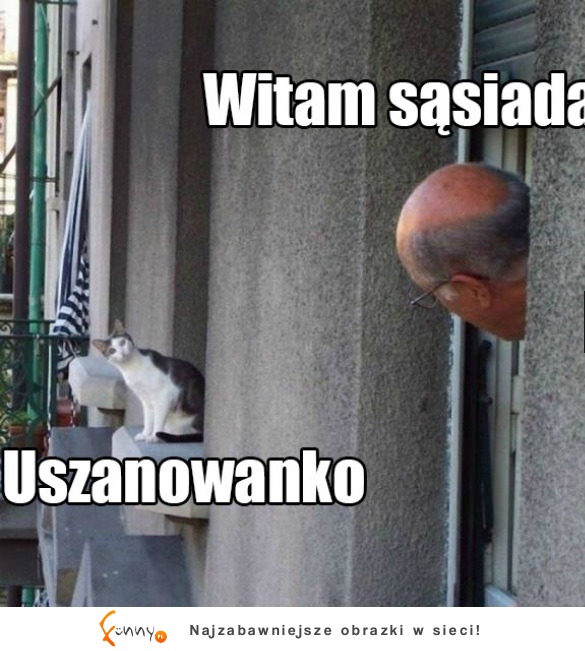 Uszanowanko