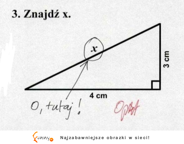 Znajdź x