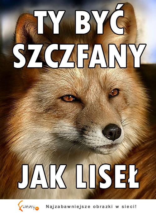 Ty byc szczfany :D