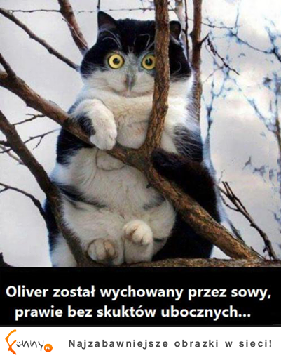 Oliver