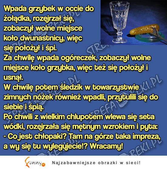 Co się dzieje na imprezie w twoim brzuchu? HAHA zobacz koniecznie!