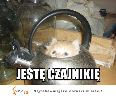 Jestę Czajnikię :D