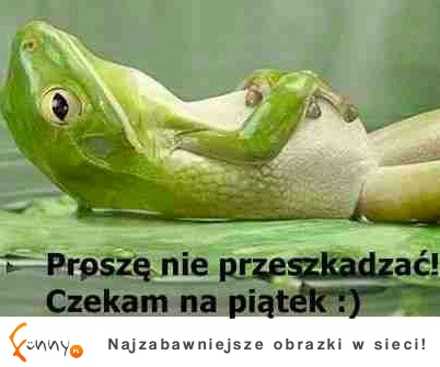 Czekam na piątek