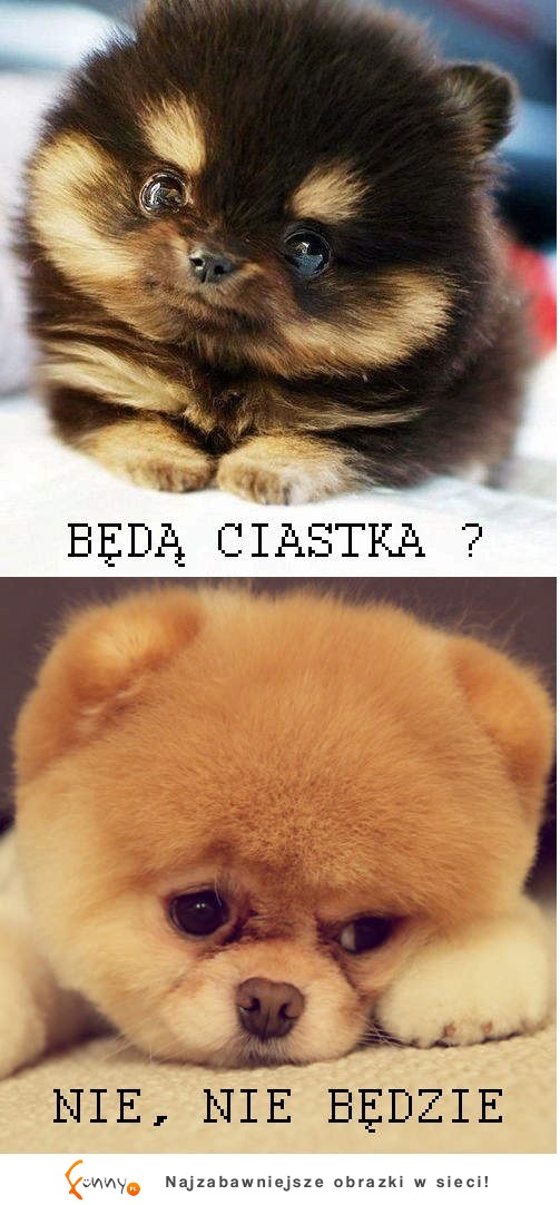 Będą ciastka