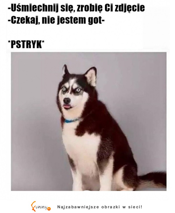 Zrobił mu zdjęcie