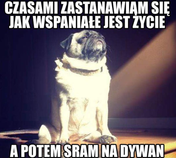 Czasmi zastanawiam się..