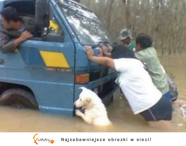 Kiedy Twój pies rozumie, że obiad może się spóźnić...