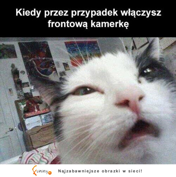 Przypadek