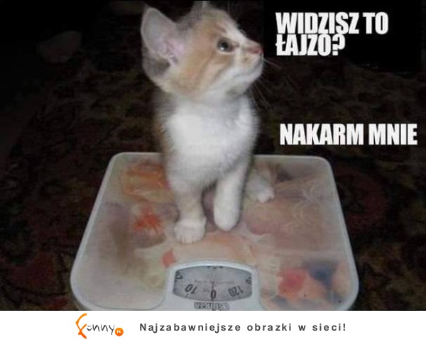 Widzisz to