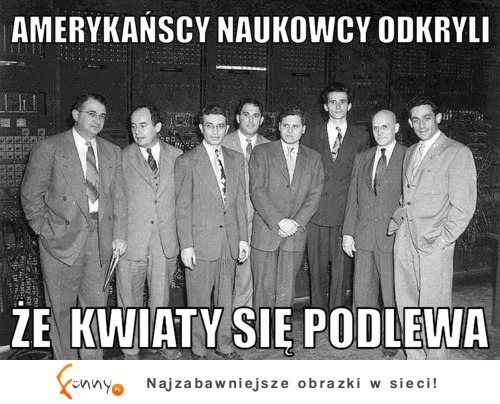 Kwiaty na oknie