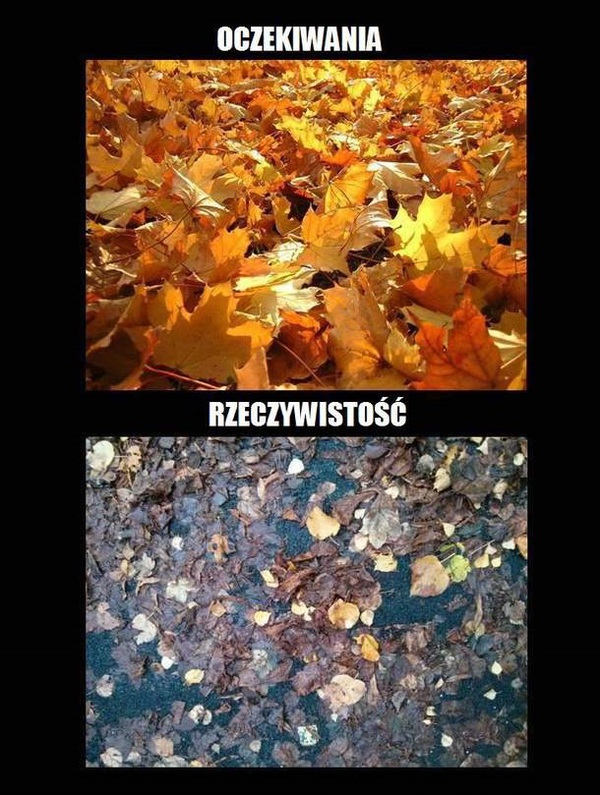 Oczekiwania vs rzeczywistość