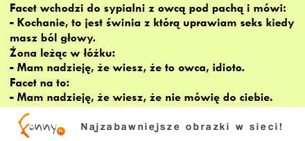 Wchodzi facet z owcą pod pachą do sypialni i mówi -Kochanie to jest...