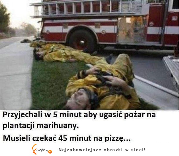 Przyjechali w 5 minut aby ugasic pożar na plantacji marihuany.