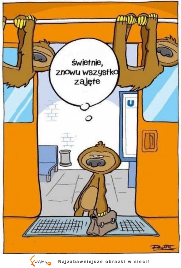 znowu zajęte