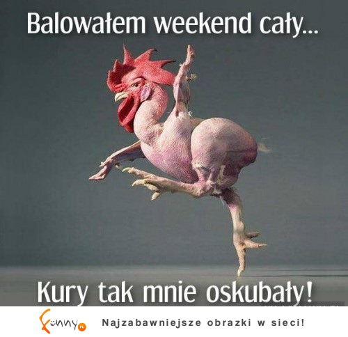 Oskubały go