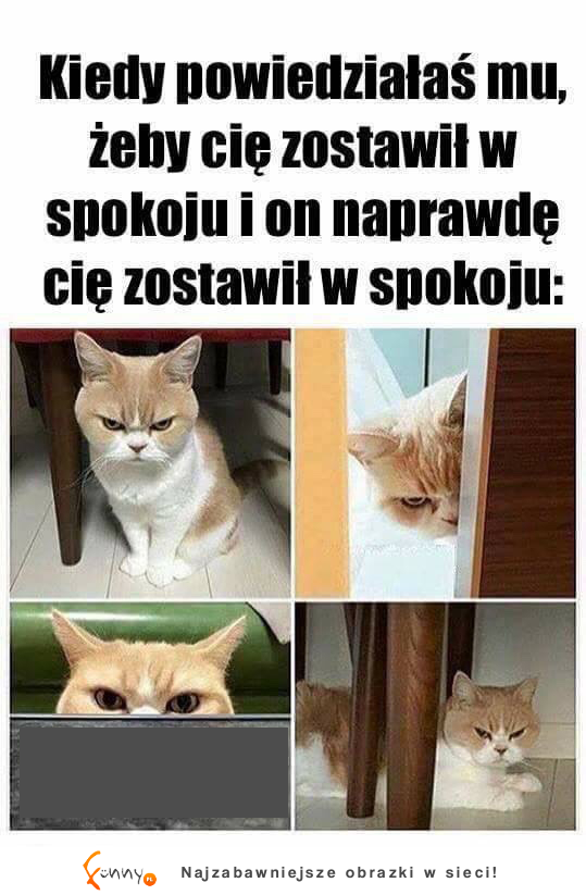 wziął na poważnie