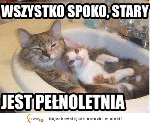 Wszystko spoko