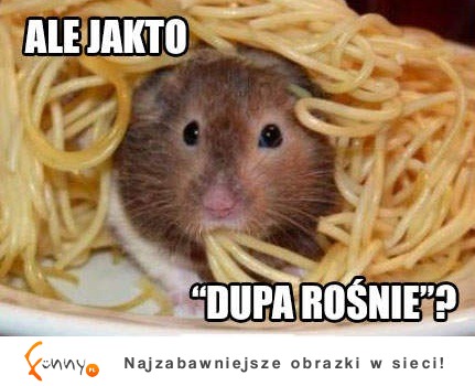 Ale jak to? :D