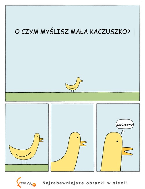 O czym myśli kaczuszka? :D