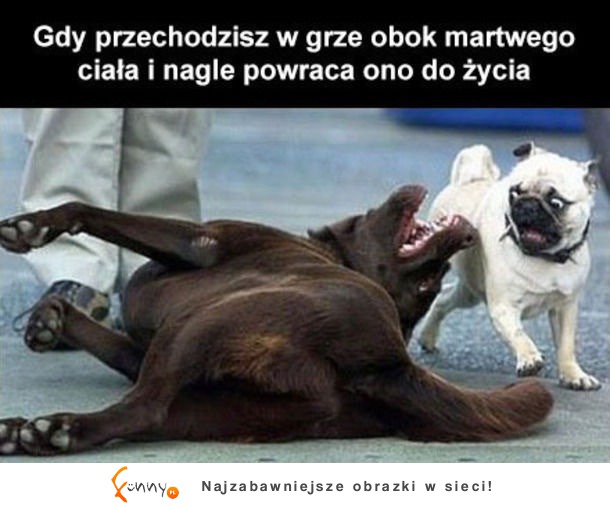 I nagle on wraca do życia