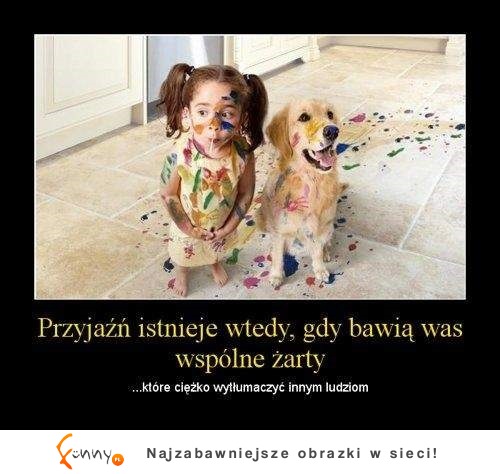 Przyjaźń...