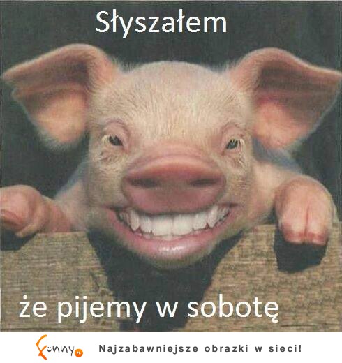 Pijemy