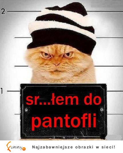 do pantofli... :)