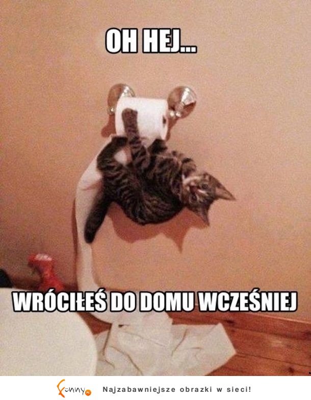 Wróciłeś do domu