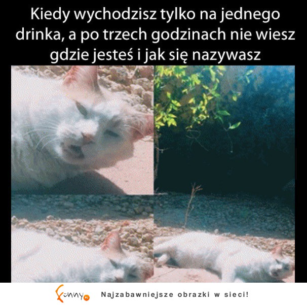 Mocny melanż