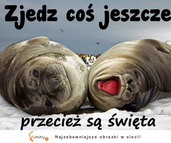 już niebawem