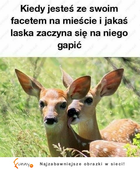 nie gap się :D