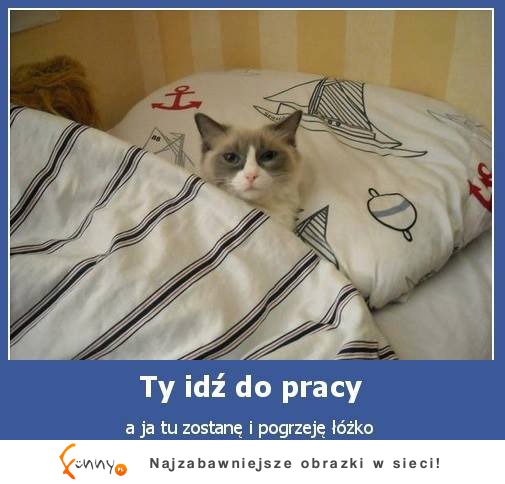 Idź do pracy