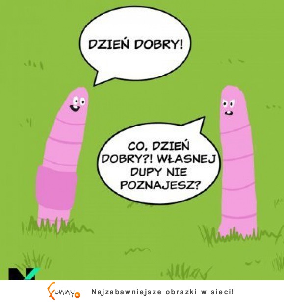 Nie poznał